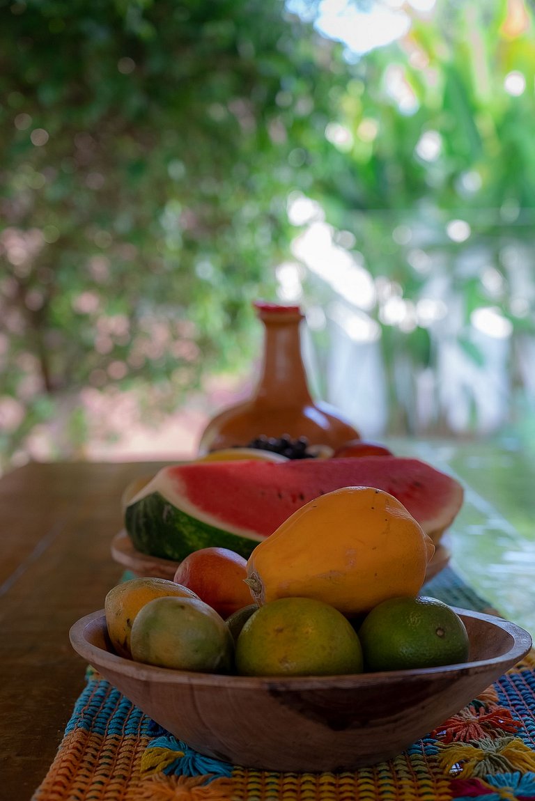 Casa Limoeiro Trancoso